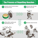 BLULUXE Cockroach Killer Gel (Pack of 2)