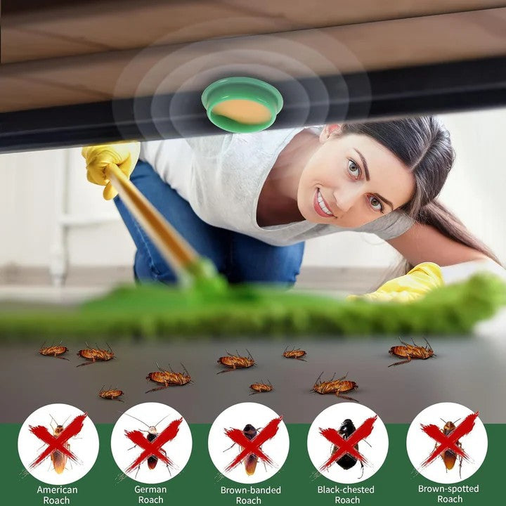 BLULUXE Cockroach Killer Gel (Pack of 2)